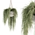 197 Indoor Hanging Plant Set 3D model small image 2