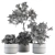 Nature's Haven: Indoor Plant Set 3D model small image 5