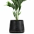 Exotic Plant Collection in Stylish Black Pots 3D model small image 3