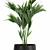 Exotic Plant Collection in Stylish Black Pots 3D model small image 4