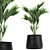 Exotic Plant Collection in Stylish Black Pots 3D model small image 5