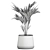 Exotic Plant Collection in Stylish Black Pots 3D model small image 6