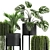 Exotic Plant Collection for Indoor and Outdoor Decor 3D model small image 7