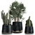 Tropical Plant Collection: Cereus, Raphis Palm & More 3D model small image 1