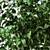 Interior Greenery: Bushes for a Refreshing Space 3D model small image 2