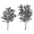 Elegant Eucalyptus Tree - 2 Pieces 3D model small image 6