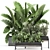 Tropical Plant Collection: Exotics for Indoor & Outdoor 3D model small image 1