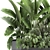 Tropical Plant Collection: Exotics for Indoor & Outdoor 3D model small image 4