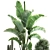 Tropical Chic Plant Collection 3D model small image 4