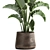 Tropical Plant Collection in Iron Pots 3D model small image 2