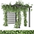 Elevated Plant Collection Vol. 143 3D model small image 1