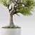 Exquisite Indoor Plant Decor 3D model small image 2