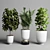 Concrete Vase Collection: Indoor Plant 35 3D model small image 3