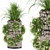 Premium Plant Collection: Volume 150 3D model small image 1