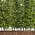 Exquisite Outdoor Plant Tree Set 3D model small image 4