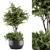 Fresh Greenery: Outdoor Plant Set 3D model small image 1