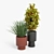 Bishop Outdoor Pedestal Planters - Versatile and Stylish 3D model small image 7