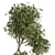 Green Oasis Indoor Plant Set 3D model small image 3