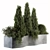 180 Outdoor Plant Set - Small Pine 3D model small image 1