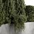 180 Outdoor Plant Set - Small Pine 3D model small image 4