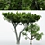 Dual Broadleaf Trees: 7m & 10m 3D model small image 1