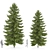 2 Abies Trees: High & Medium Height 3D model small image 2