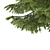 2 Abies Trees: High & Medium Height 3D model small image 3