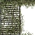 Evergreen Garden Set - Ivy & Bush 3D model small image 2