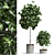 Interior Greenery 3D Render 3D model small image 1