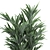 Tropical Plant Paradise 3D model small image 6