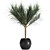 Tropical Palm Trio: Exquisite Indoor Plants 3D model small image 4