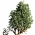 Artistic Bonsai Plant Sculpture 3D model small image 4