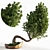 Bonsai Plant: Exquisite 2015 Version 3D model small image 1