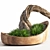 Bonsai Plant: Exquisite 2015 Version 3D model small image 2