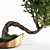 Bonsai Plant: Exquisite 2015 Version 3D model small image 3