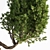 Bonsai Plant: Exquisite 2015 Version 3D model small image 4