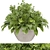 Premium Plant Collection: Volume 154 3D model small image 1