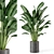 Green Oasis Indoor Plant Set 3D model small image 2