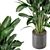 Green Oasis Indoor Plant Set 3D model small image 3