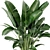 Green Oasis Indoor Plant Set 3D model small image 4