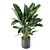 Green Oasis Indoor Plant Set 3D model small image 5