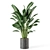 Green Oasis Indoor Plant Set 3D model small image 6