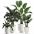 Tropical Plant Collection in White Pots 3D model small image 1