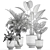 Tropical Plant Collection in White Pots 3D model small image 6