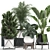 Tropical Oasis Plant Collection 3D model small image 1