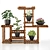 5 Indoor Plant Set 3D model small image 1