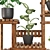 5 Indoor Plant Set 3D model small image 6