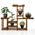 5 Indoor Plant Set 3D model small image 9