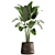 Tropical Plant Collection in Artisan Iron Pot 3D model small image 1