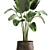 Tropical Plant Collection in Artisan Iron Pot 3D model small image 4